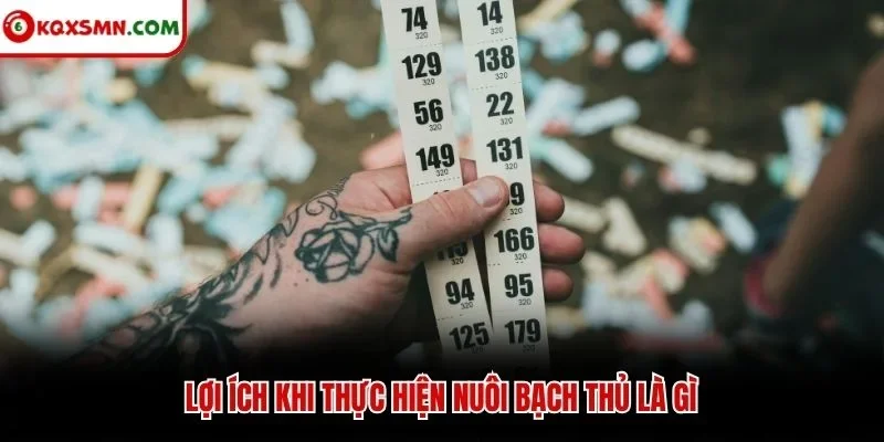 Lợi ích khi thực hiện nuôi bạch thủ là gì