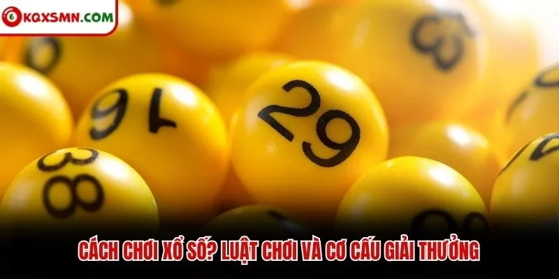 Cách chơi xổ số? Luật chơi và cơ cấu giải thưởng