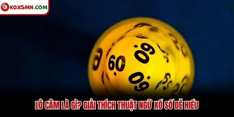 Lô câm là gì? Giải thích thuật ngữ xổ số dễ hiểu