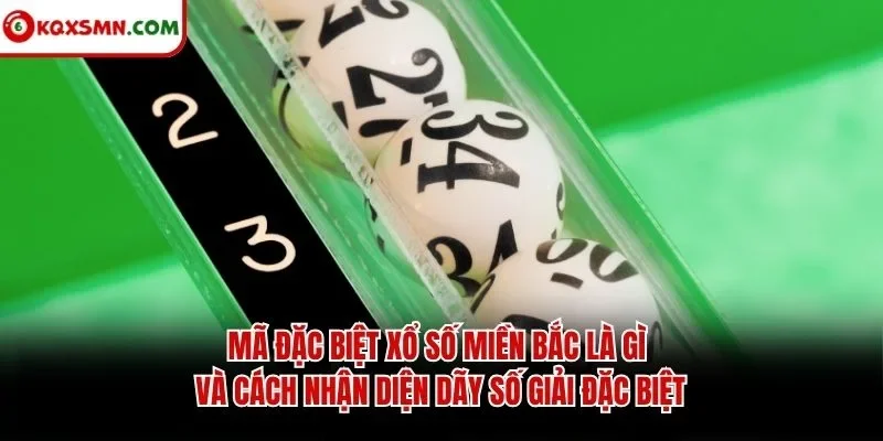 Mã đặc biệt xổ số miền Bắc là gì và cách nhận diện dãy số giải đặc biệt