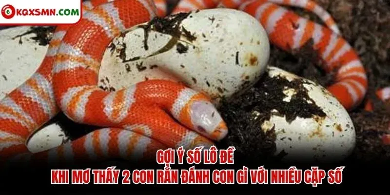 Gợi ý số lô đề khi mơ thấy 2 con rắn đánh con gì với nhiều cặp số