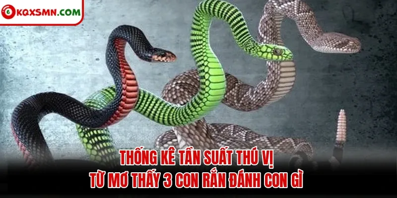 Thống kê tần suất thú vị từ mơ thấy 3 con rắn đánh con gì