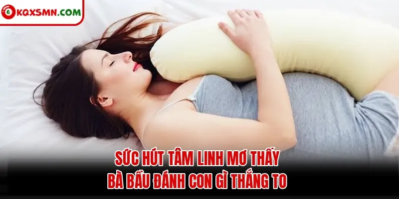 Sức hút tâm linh mơ thấy bà bầu đánh con gì thắng to
