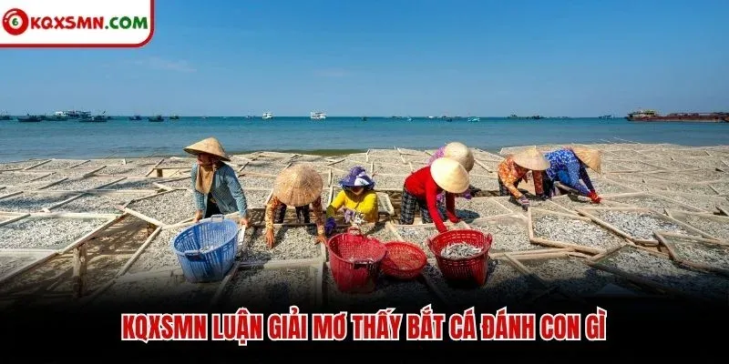 KQXSMN luận giải mơ thấy bắt cá đánh con gì
