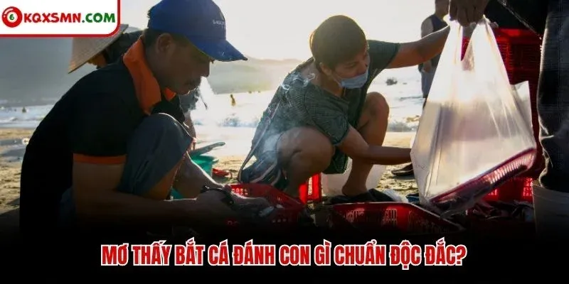 Mơ thấy bắt cá đánh con gì chuẩn độc đắc