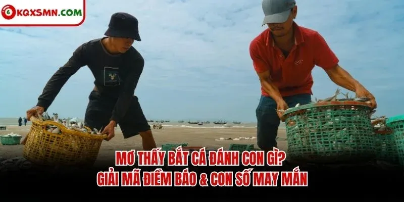 Mơ thấy Bắt cá đánh con gì? Giải mã điềm báo & con số may mắn
