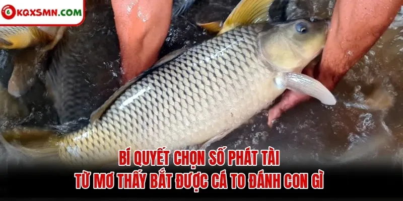 Bí quyết chọn số phát tài từ mơ thấy bắt được cá to đánh con gì