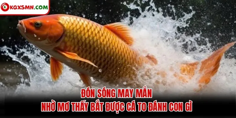 Đón sóng may mắn nhờ mơ thấy bắt được cá to đánh con gì