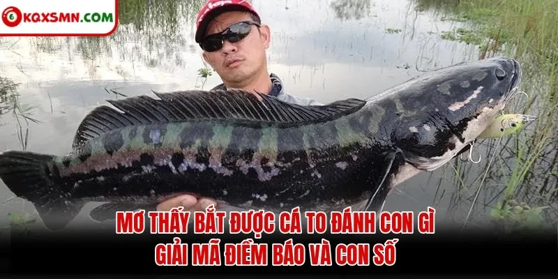 Mơ thấy Bắt được cá to đánh con gì? Giải mã điềm báo và con số