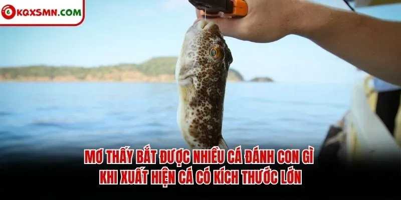 Mơ thấy bắt được nhiều cá đánh con gì khi xuất hiện cá có kích thước lớn