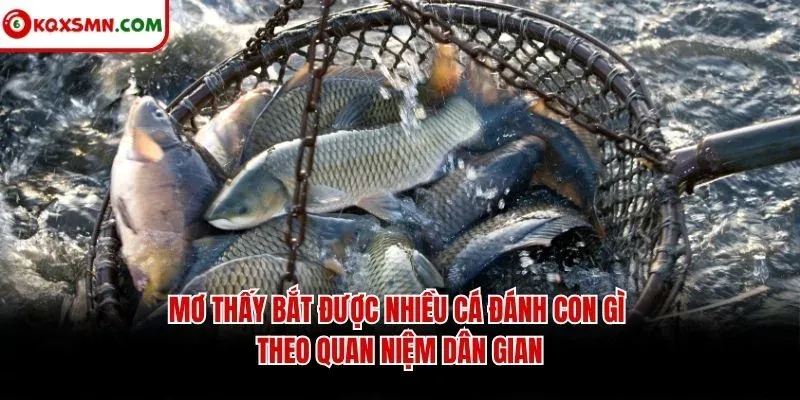 Mơ thấy bắt được nhiều cá đánh con gì theo quan niệm dân gian