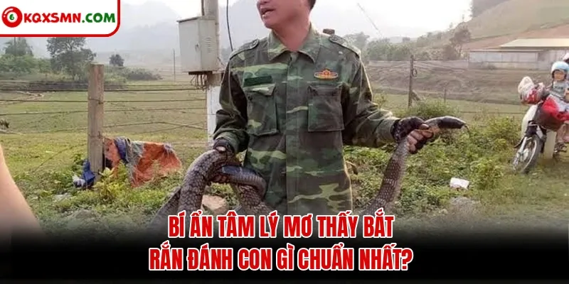 Bí ẩn tâm lý mơ thấy bắt rắn đánh con gì chuẩn nhất