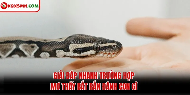 Giải đáp nhanh trường hợp mơ thấy bắt rắn đánh con gì