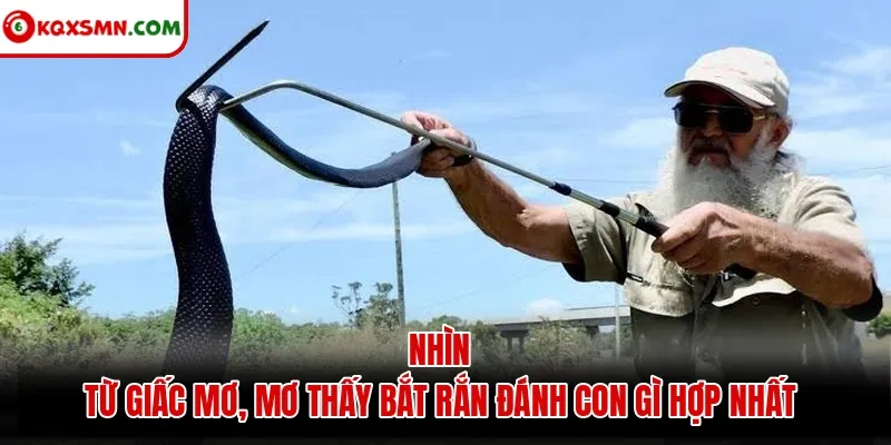 Nhìn từ giấc mơ, mơ thấy bắt rắn đánh con gì hợp nhất
