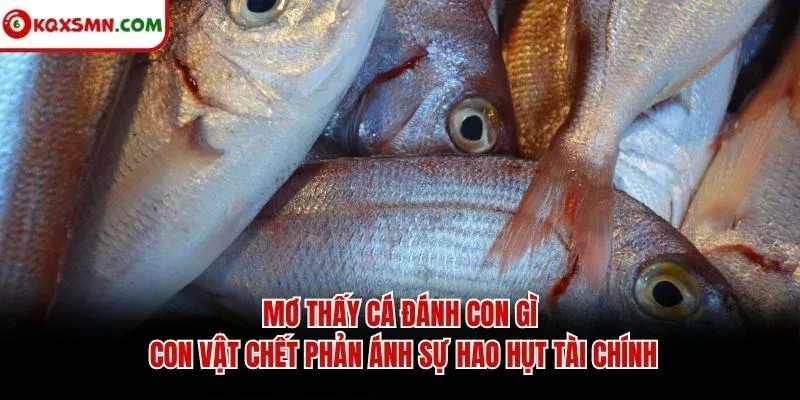 Mơ thấy cá đánh con gì con vật chết phản ánh sự hao hụt tài chính
