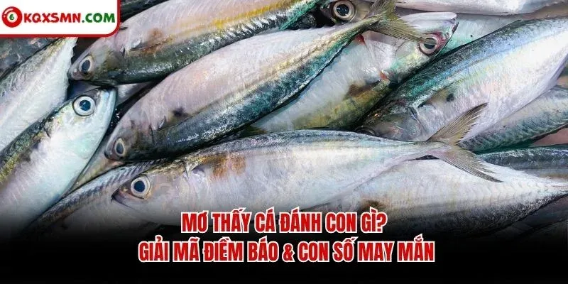 Mơ Thấy Cá Đánh Con Gì? Giải Mã Điềm Báo & Con Số May Mắn