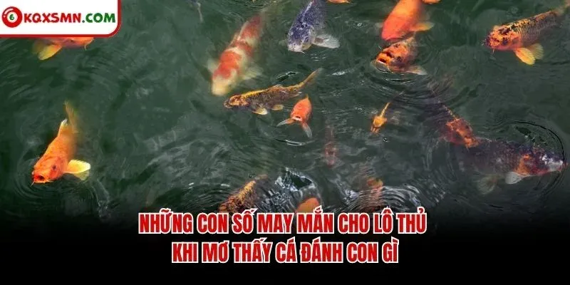 Những con số may mắn cho lô thủ khi mơ thấy cá đánh con gì