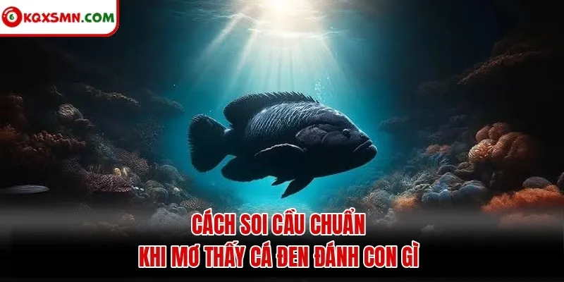 Cách soi cầu chuẩn khi mơ thấy cá đen đánh con gì