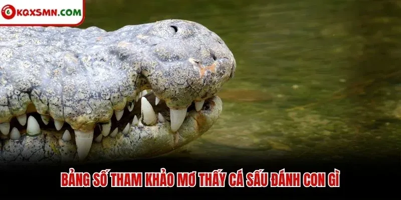 Bảng số tham khảo mơ thấy cá sấu đánh con gì