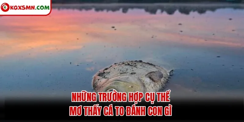 Những trường hợp cụ thể mơ thấy cá to đánh con gì