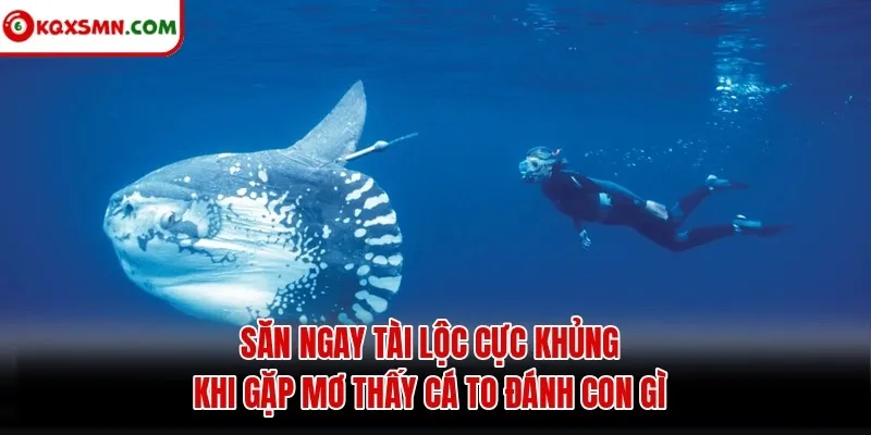 Săn ngay tài lộc cực khủng khi gặp mơ thấy cá to đánh con gì