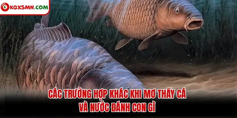 Các trường hợp khác khi mơ thấy cá và nước đánh con gì
