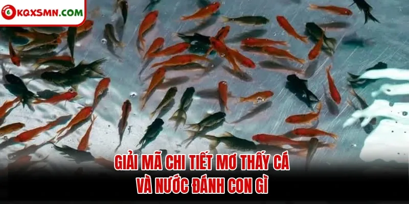 Giải mã chi tiết mơ thấy cá và nước đánh con gì
