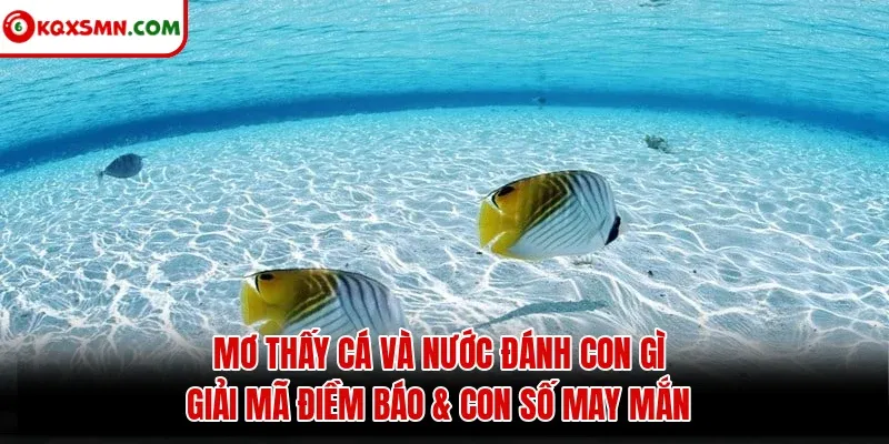 Mơ thấy Cá và nước đánh con gì? Giải mã điềm báo & con số may mắn