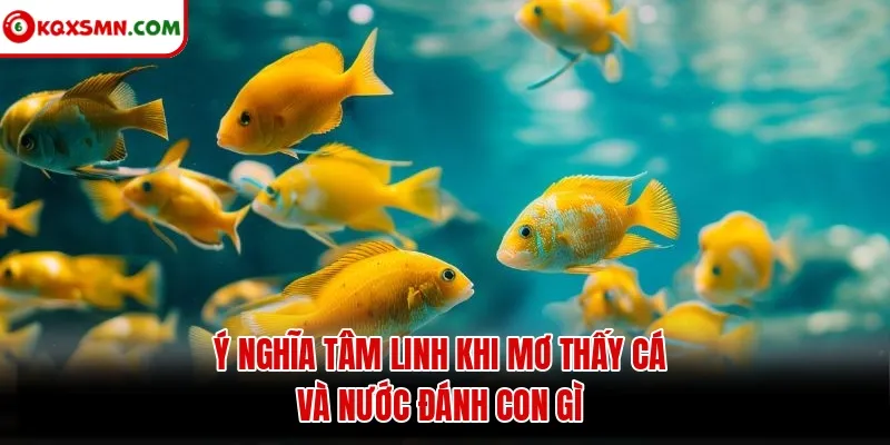 Ý nghĩa tâm linh khi mơ thấy cá và nước đánh con gì