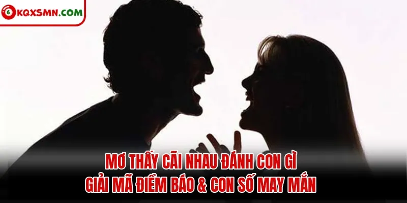 Mơ thấy Cãi nhau đánh con gì? Giải mã điềm báo & con số may mắn