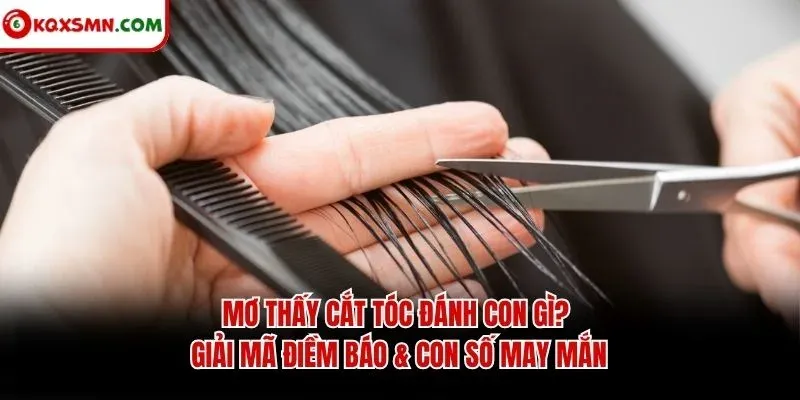 Mơ thấy Cắt tóc đánh con gì? Giải mã điềm báo & con số may mắn