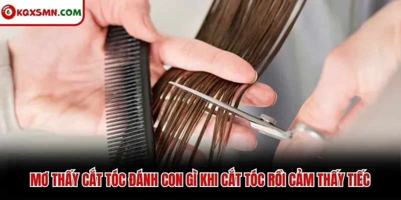 Mơ thấy cắt tóc đánh con gì khi cắt tóc rồi cảm thấy tiếc