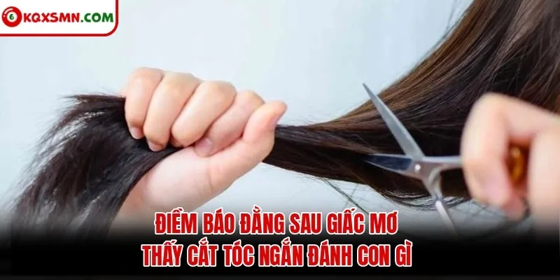 Điềm báo đằng sau giấc mơ thấy cắt tóc ngắn đánh con gì