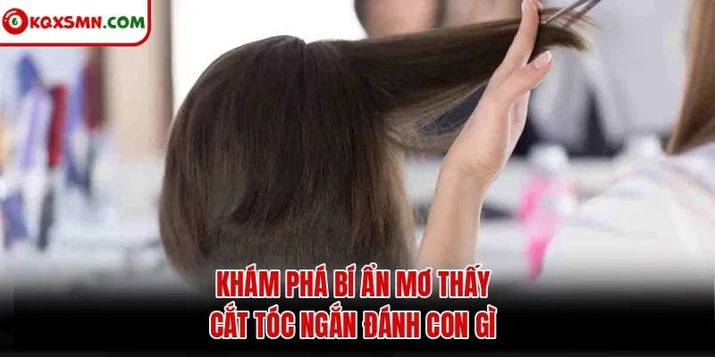 Khám phá bí ẩn mơ thấy cắt tóc ngắn đánh con gì