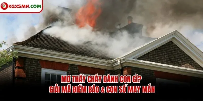 Mơ thấy Cháy đánh con gì? Giải mã điềm báo & con số may mắn