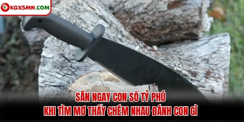 Săn ngay con số tỷ phú khi tìm mơ thấy chém nhau đánh con gì