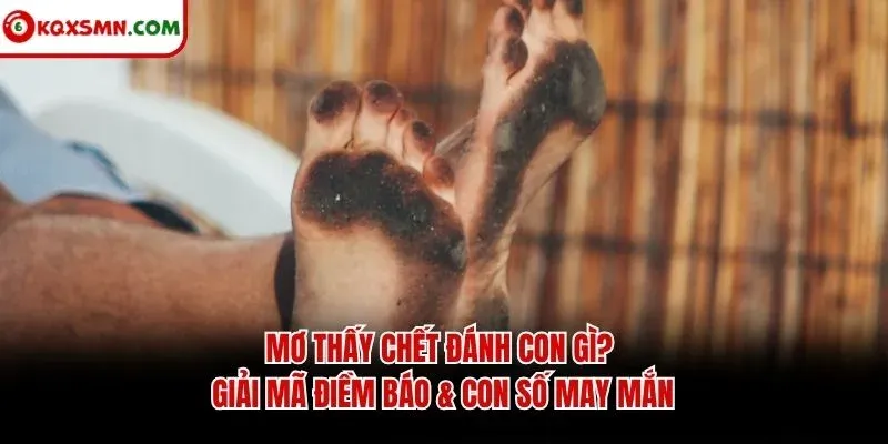 Mơ thấy Chết đánh con gì? Giải mã điềm báo & con số may mắn
