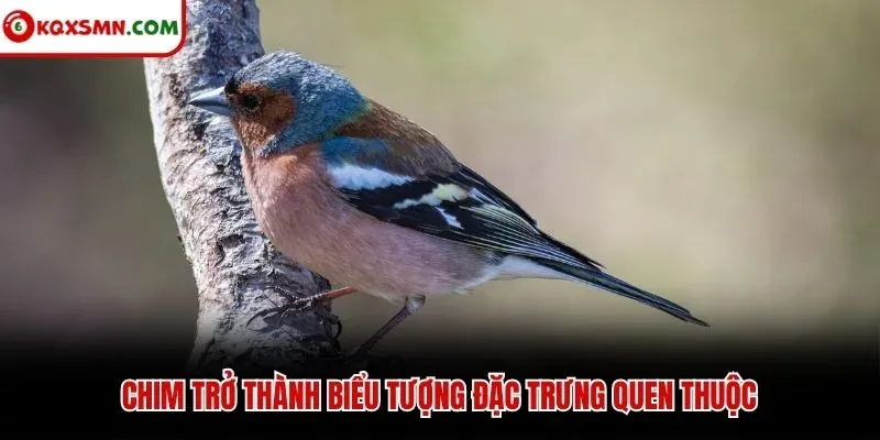 Chim trở thành biểu tượng đặc trưng quen thuộc