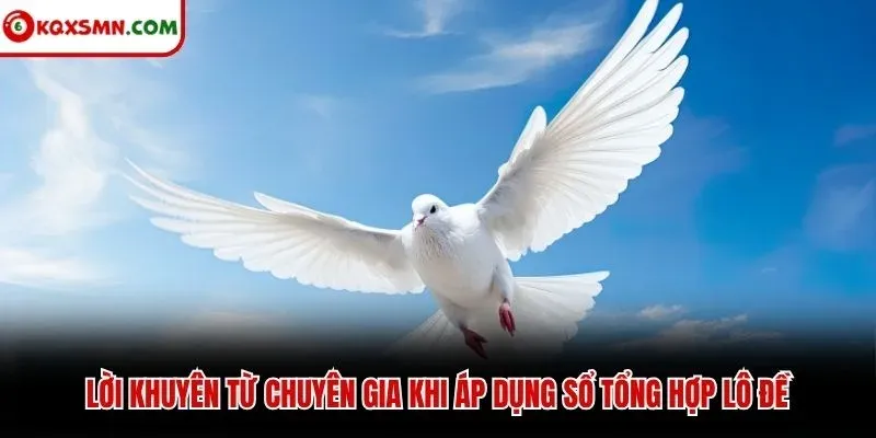 Lời khuyên từ chuyên gia khi áp dụng sổ tổng hợp lô đề