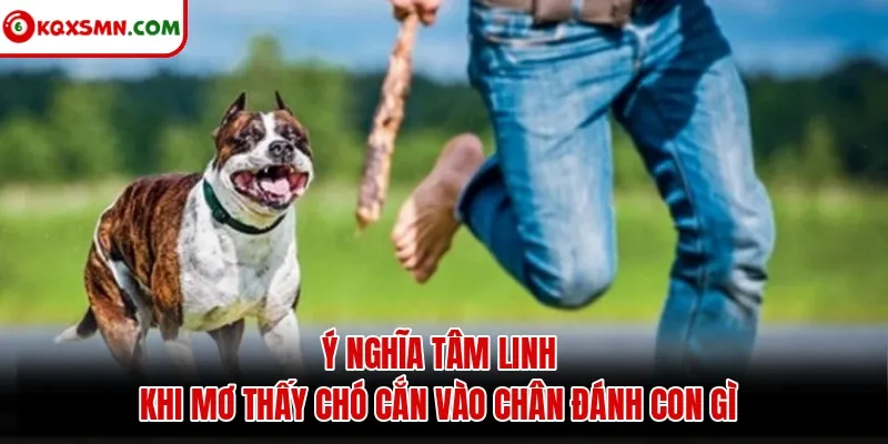 Ý nghĩa tâm linh khi mơ thấy chó cắn vào chân đánh con gì