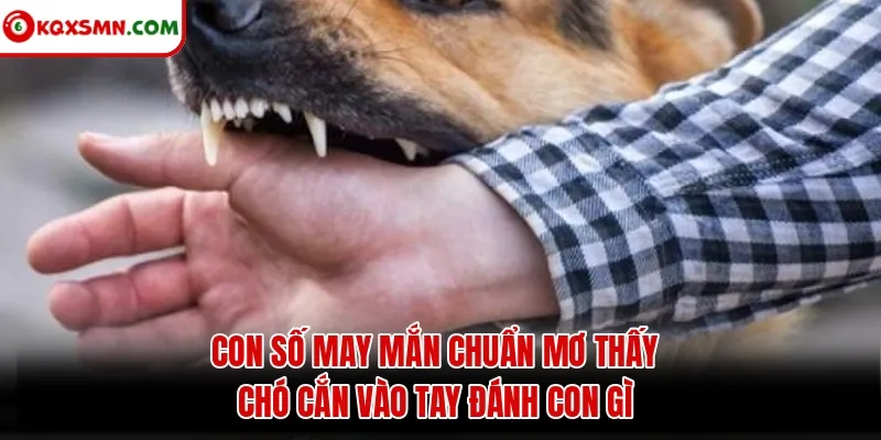 Con số may mắn chuẩn mơ thấy chó cắn vào tay đánh con gì