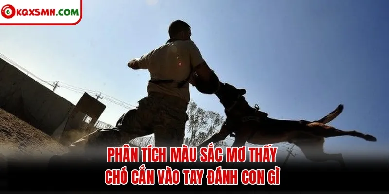 Phân tích màu sắc mơ thấy chó cắn vào tay đánh con gì