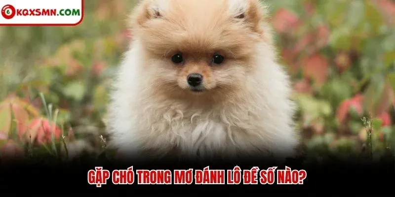 Gặp chó trong mơ đánh lô đề số nào