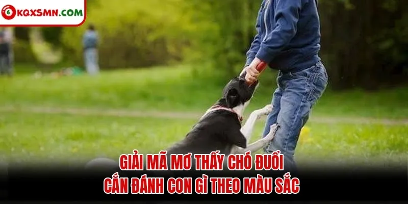 Giải mã mơ thấy chó đuổi cắn đánh con gì theo màu sắc