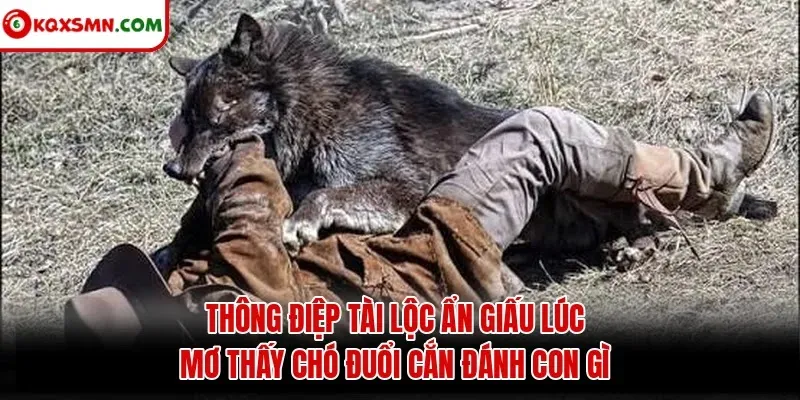 Thông điệp tài lộc ẩn giấu lúc mơ thấy chó đuổi cắn đánh con gì