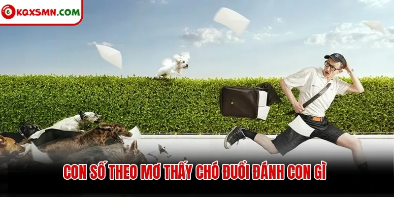 Con số theo mơ thấy chó đuổi đánh con gì