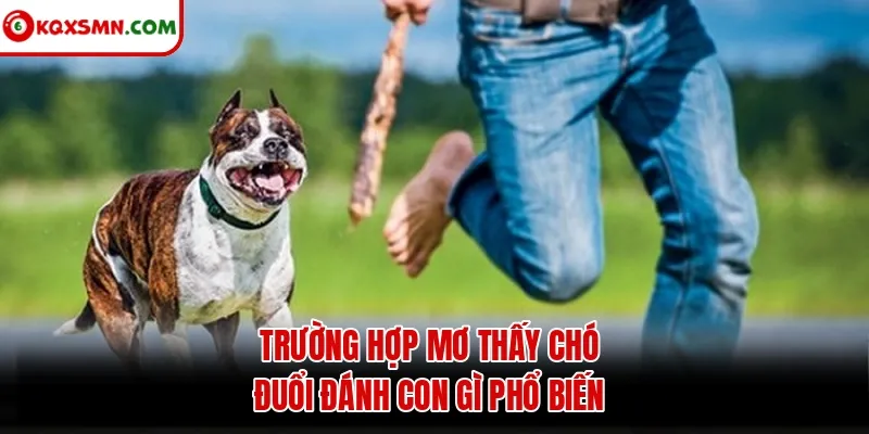Trường hợp mơ thấy chó đuổi đánh con gì phổ biến
