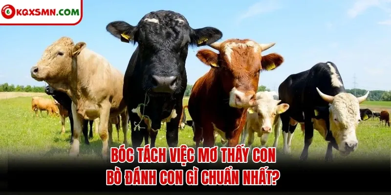 Bóc tách việc mơ thấy con bò đánh con gì chuẩn nhất