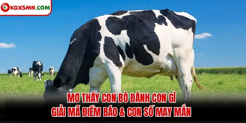 Mơ thấy Con bò đánh con gì? Giải mã điềm báo & con số may mắn