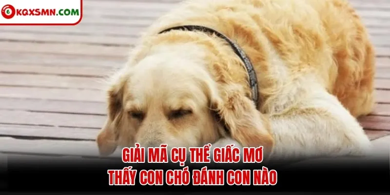 Giải mã cụ thể giấc mơ thấy con chó đánh con nào